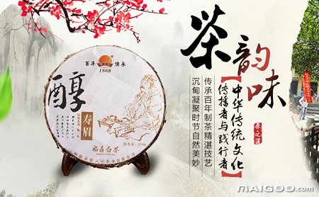 福鼎白茶